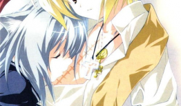 妖精动漫,奇幻世界中的精灵传说